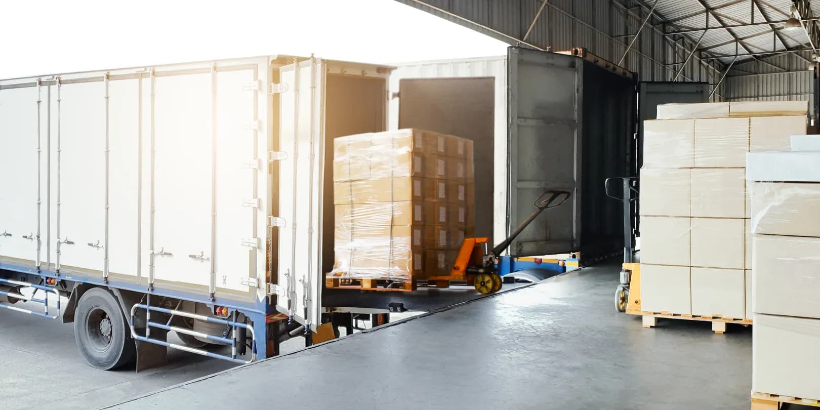 10 Best Freight Management Platforms for FMCG Distributors